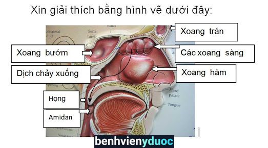 Phòng khám Tai Mũi Họng-Nhi (BS CKI Nam) Thanh Trì Hà Nội