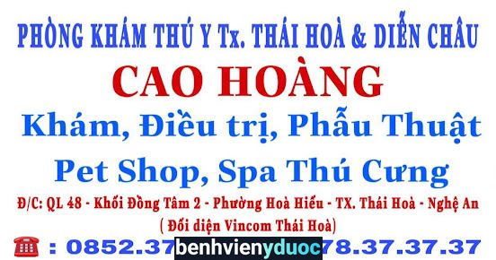 Phòng Khám Thú Y Cao Hoàng Thái Hoà Nghệ An