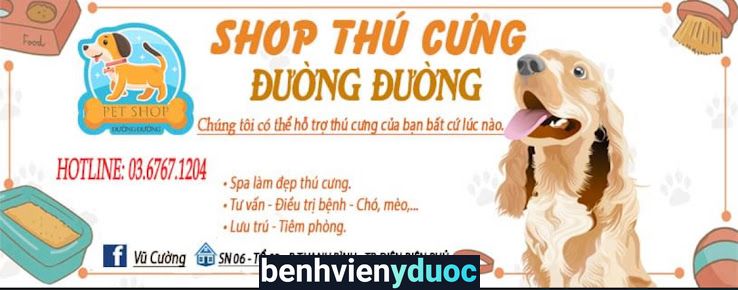 Phòng khám Thú y Điện Biên Điện Biên Phủ Điện Biên