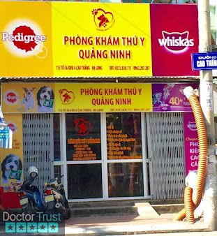 PHÒNG KHÁM THÚ Y QUẢNG NINH Hạ Long Quảng Ninh