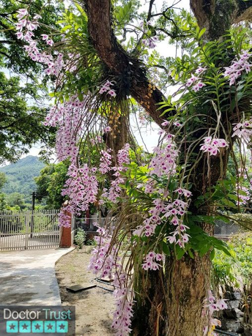 PHÒNG THUỐC NAM CHÂM CỨU PHƯỚC THIỆN Tri Tôn An Giang