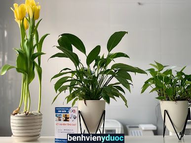 PHÒNG XÉT NGHIỆM Y KHOA ANH QUÂN Cao Lãnh Đồng Tháp