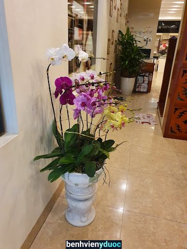 Phương Hoa Spa Hà Đông Hà Nội