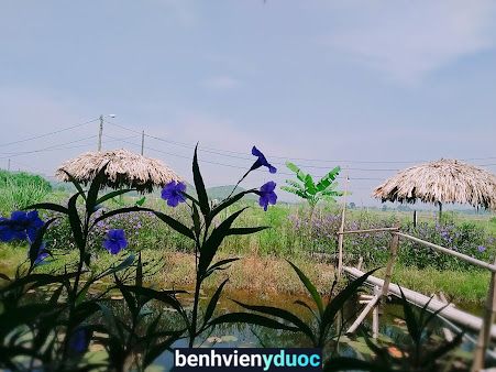 Quầy Thuốc Hương Dũng Gia Viễn Ninh Bình