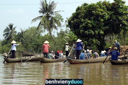 Quầy Thuốc Tây Kim Tuyến