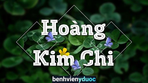 Spa Kim Chi Bạc Liêu Bạc Liêu