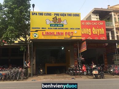 Spa thú cưng - linh linh pet Hiệp Hòa Bắc Giang