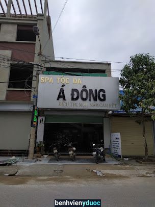 Spa tóc & da á đông