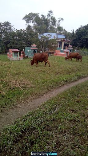 Thuốc Gia Truyền Ba Trắc