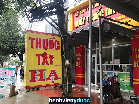 Thuốc Tây Hạ Đắk Hà Kon Tum