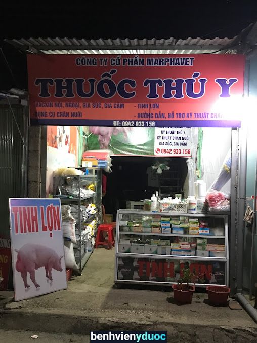 Thuốc thú ý, tinh lợn Cao Bằng Cao Bằng