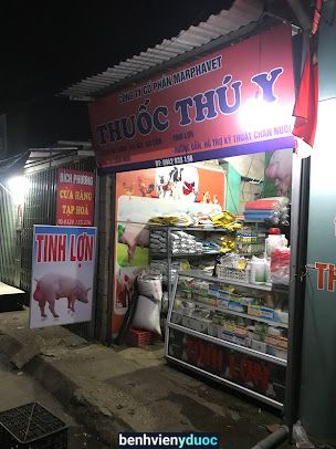 Thuốc thú ý, tinh lợn Cao Bằng Cao Bằng