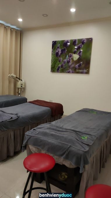 Thuỷ Mộc Spa Long Biên Hà Nội