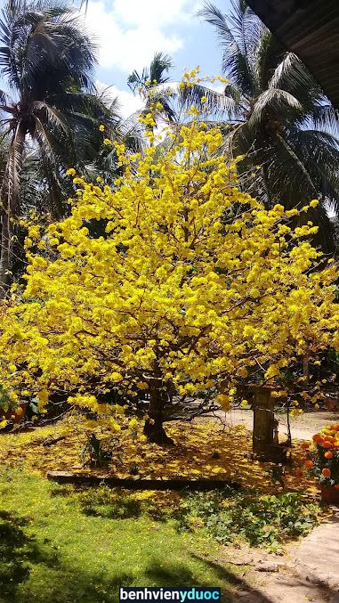 Trạm Y Tế Long Hưng