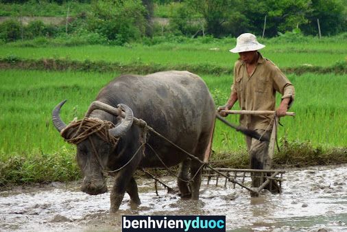 Trạm Y Tế Thị Trấn Cát Bà