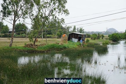 Trạm y Tế Xã An Hòa, Tuy An, Phú Yên Tuy An Phú Yên