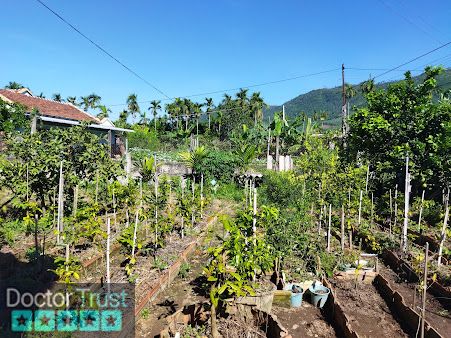 Trạm Y Tế Xã Bình Hải Bình Sơn Quảng Ngãi