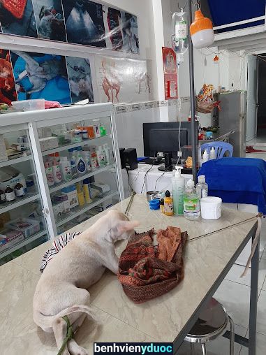 VETERINARY CLINIC PHU QUOC Phú Quốc Kiên Giang