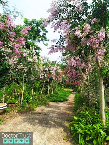 Xăm nghệ thuật Tuấn Conan Chiêm Hóa Tuyên Quang