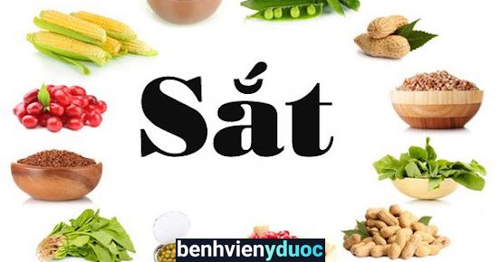 xét nghiệm máu tại nhà Thanh Hóa Thanh Hóa
