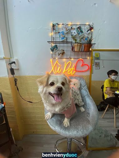 Xù Pet - Spa, Grooming and Hotel