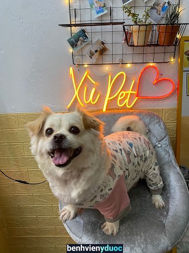 Xù Pet - Spa, Grooming and Hotel 6 Hồ Chí Minh