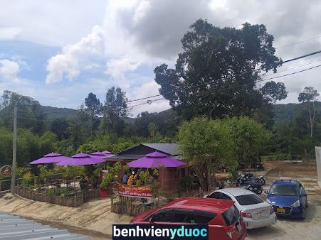 Yoga & Thiền ( Nhà Tâm) Phú Quốc Kiên Giang
