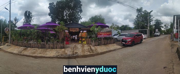 Yoga & Thiền ( Nhà Tâm) Phú Quốc Kiên Giang