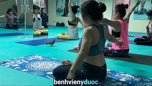 Zen Yoga 1 Hồ Chí Minh